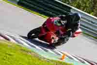 Lower Group Red Bikes